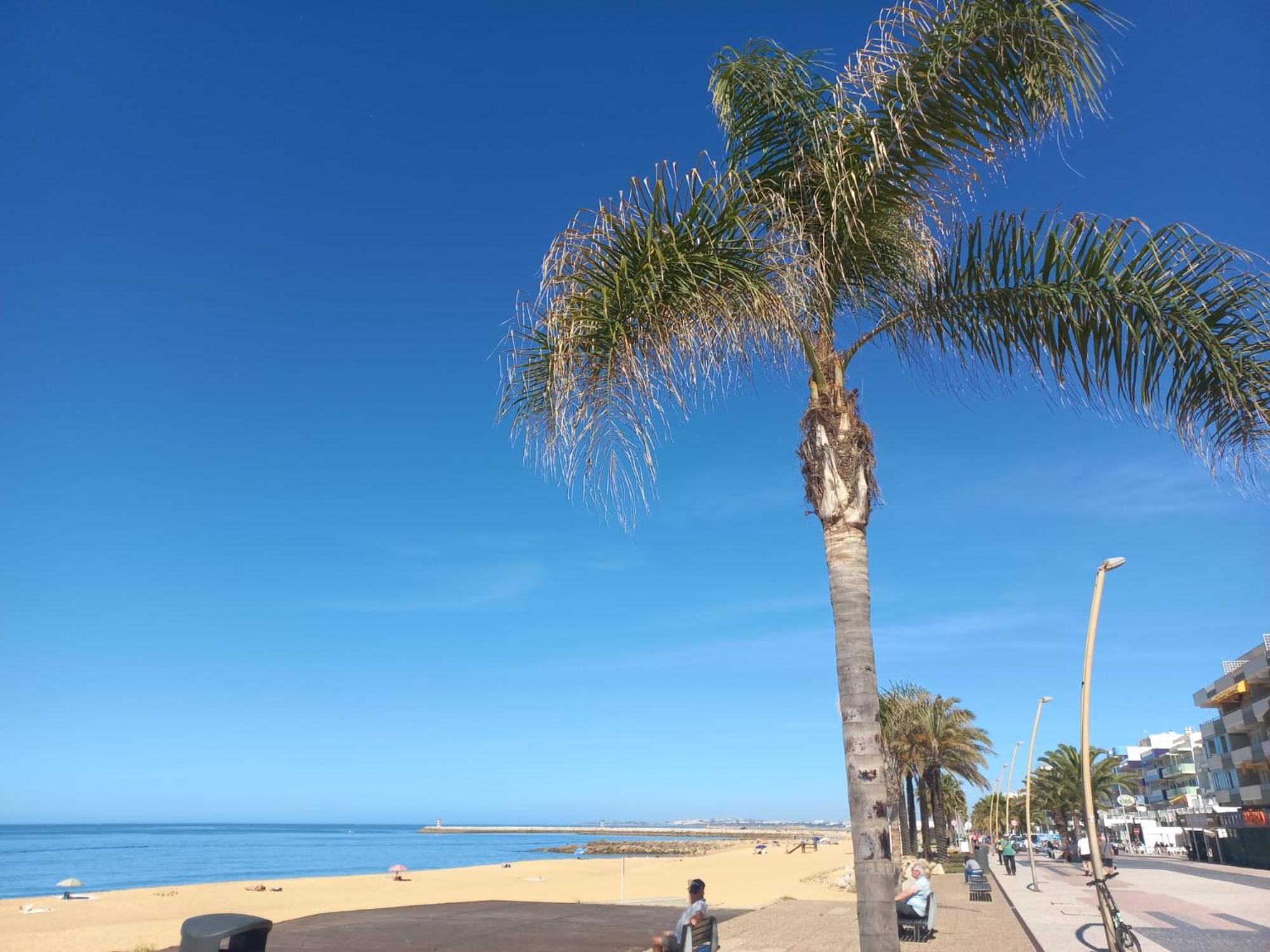 Mare Viva Beach Apartment Куартейра Екстер'єр фото